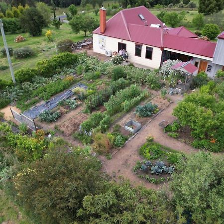 Cherry Top Farmstay - Boutique Eco Village Lilydale Esterno foto