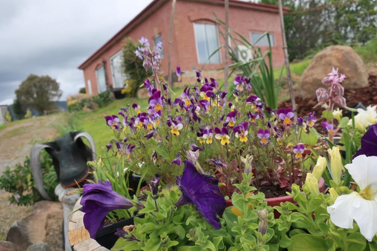 Cherry Top Farmstay - Boutique Eco Village Lilydale Esterno foto