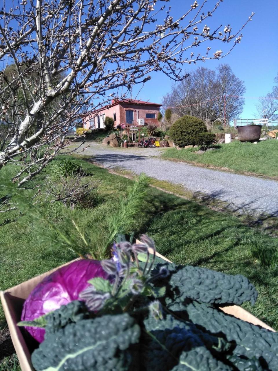 Cherry Top Farmstay - Boutique Eco Village Lilydale Esterno foto