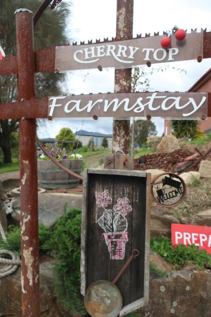 Cherry Top Farmstay - Boutique Eco Village Lilydale Esterno foto