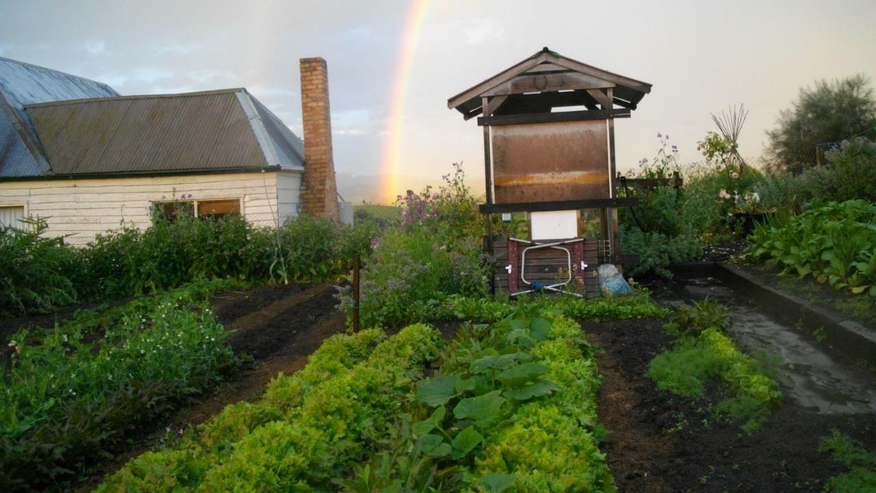 Cherry Top Farmstay - Boutique Eco Village Lilydale Esterno foto