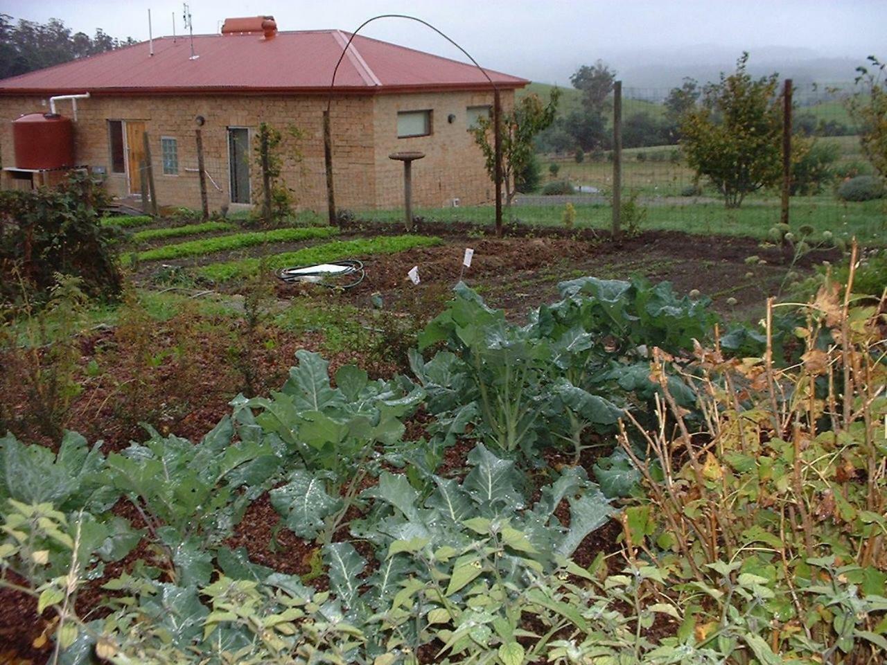 Cherry Top Farmstay - Boutique Eco Village Lilydale Esterno foto