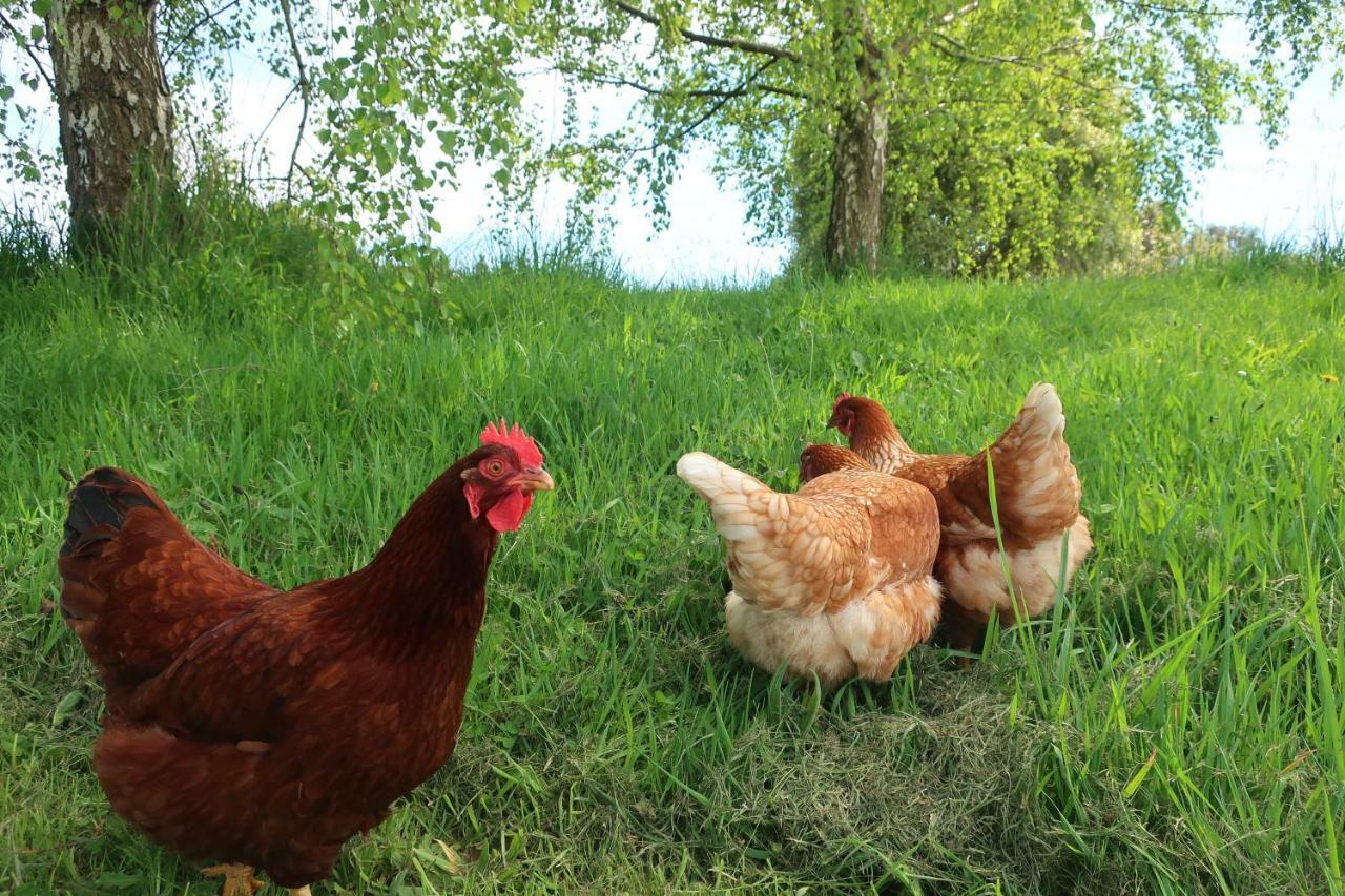 Cherry Top Farmstay - Boutique Eco Village Lilydale Esterno foto