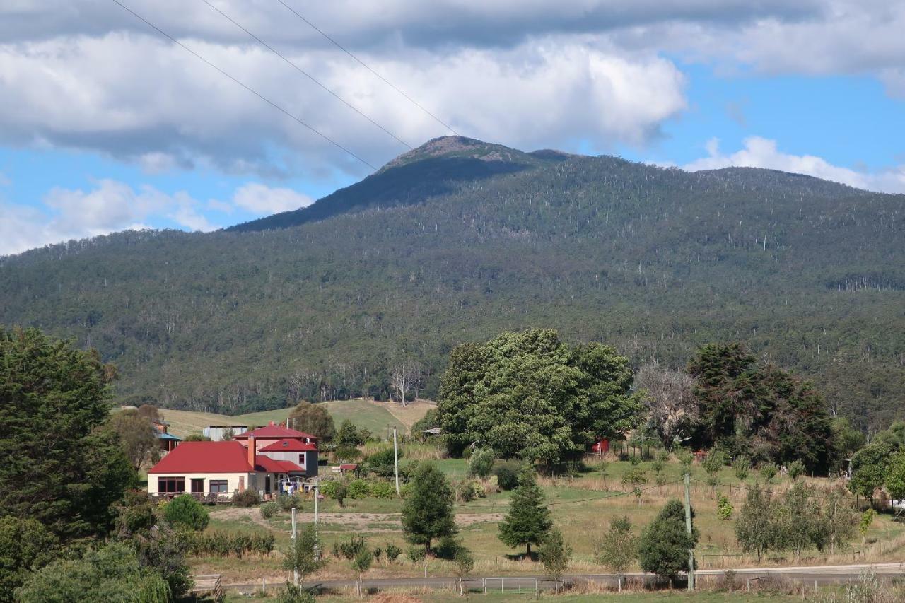 Cherry Top Farmstay - Boutique Eco Village Lilydale Esterno foto